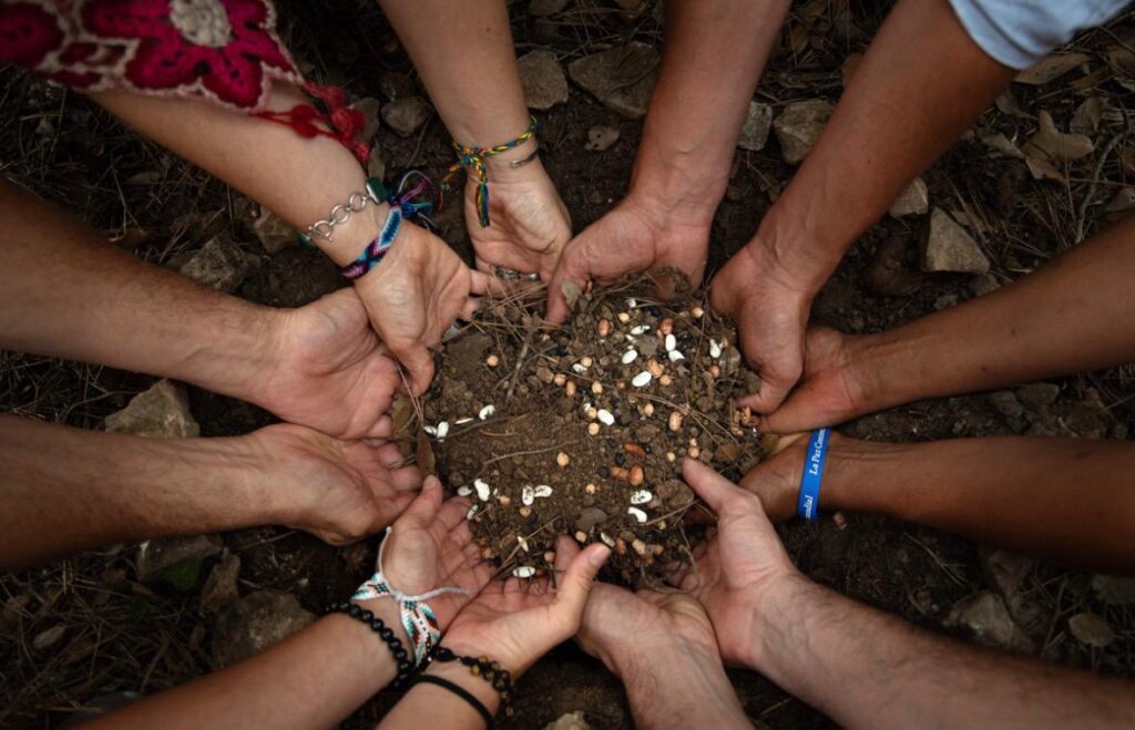 Contact our team at EU Ayahuasca Retreat for booking inquiries and support.